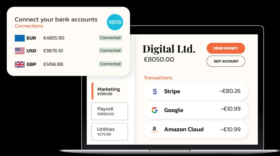 Financial Operations Cash Liquidity Management Fyorin
